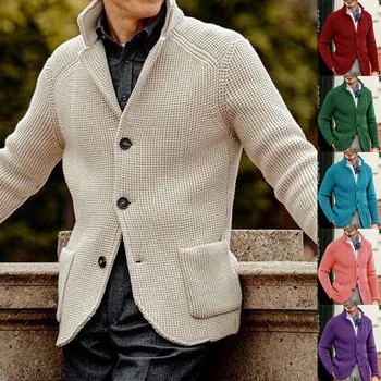 Ljudi je Džemper Slim Stati Stajati Ogrlicu Isplela Džemper Jakne Proljeće Jesen Veliki broj Ljudi Mode Čvrst Boja Odjeću & Kapute